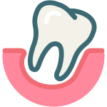iconfinder Dental Tooth Dentist Dentistry 06 2185081