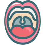 iconfinder Dental Tooth Dentist Dentistry 27 2185043