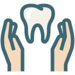 iconfinder Dental Tooth Dentist Dentistry 31 2185057